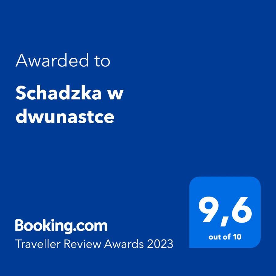 Schadzka W Dwunastce Z Widokiem Na Jezioro Borsk Exterior photo